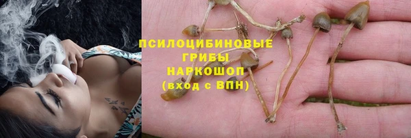 герыч Пересвет