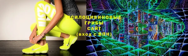 прущие крисы Богородицк