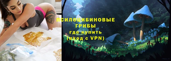 прущие крисы Богородицк