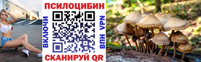 хочу наркоту  Нестеров  Псилоцибиновые грибы MAGIC MUSHROOMS 